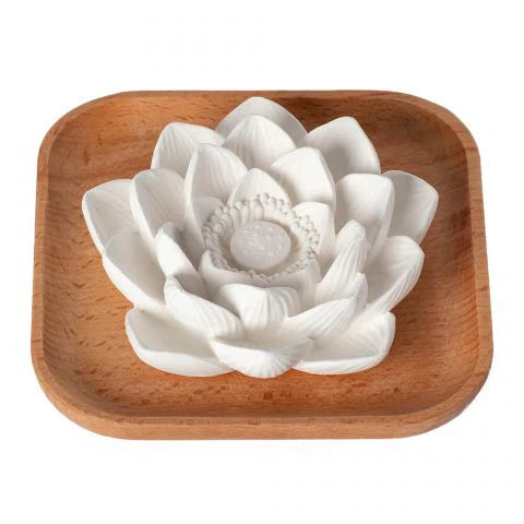 PASSIVE LOTUS DIFFUSER