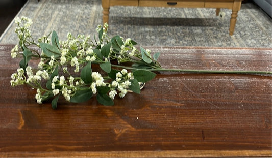 G219037